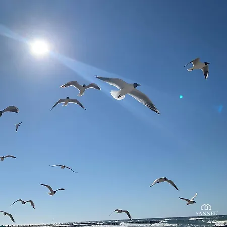 Sunshine Z Krytym Basenem - Baltic Apartments-sannel For Rent 公寓 *